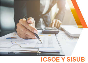 SERVICIOS DE CONSTRUCCIÓN-ICSOE-SISUB-02